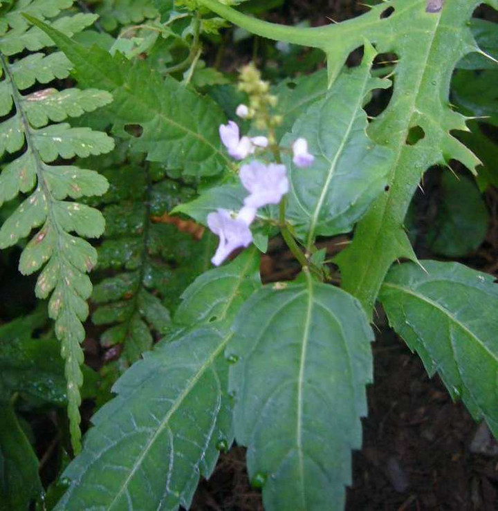 P1140591