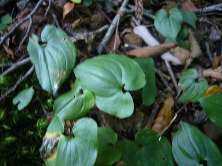 P1140607