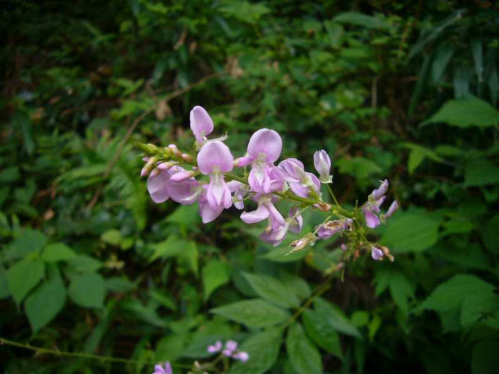 P1140616