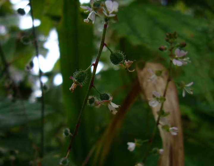 P1140676