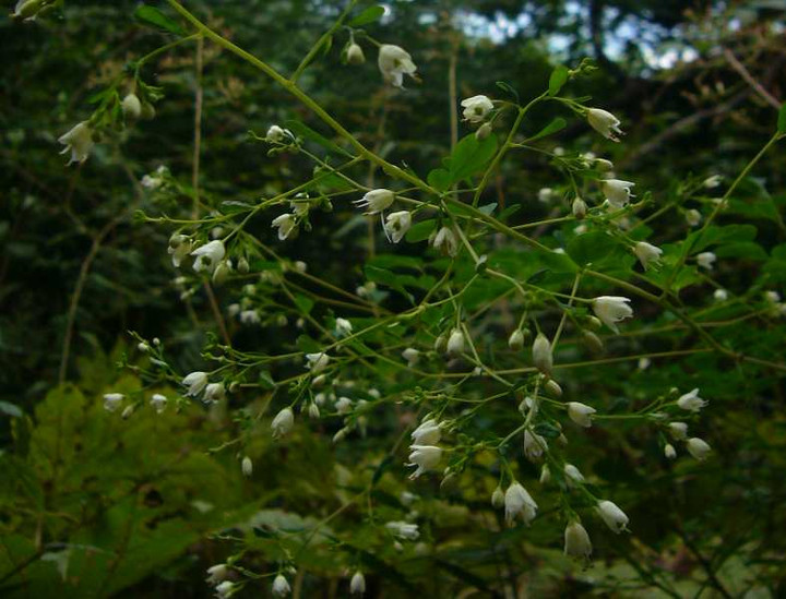 P1140719