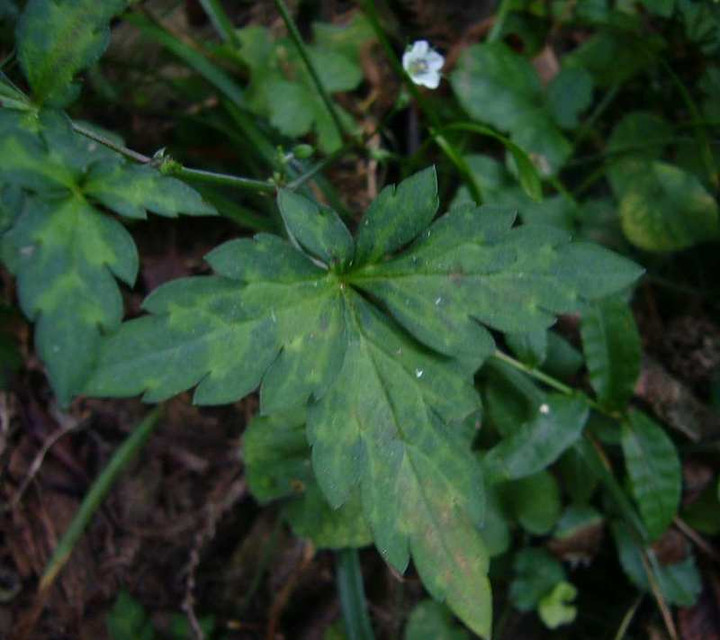 P1140663