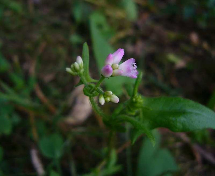 P1140681