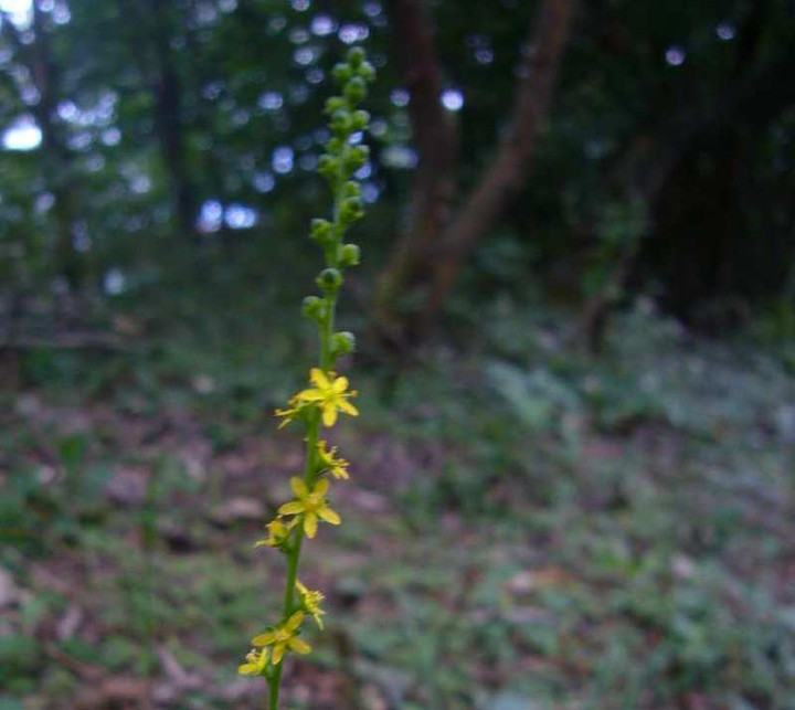 P1140656