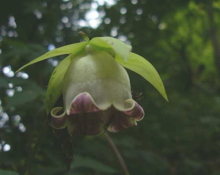 P1140685