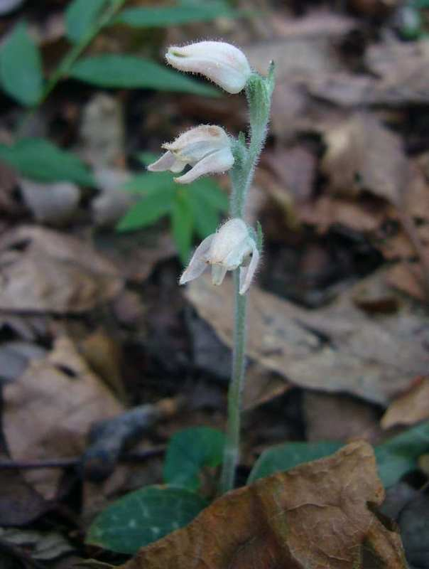 P1140700