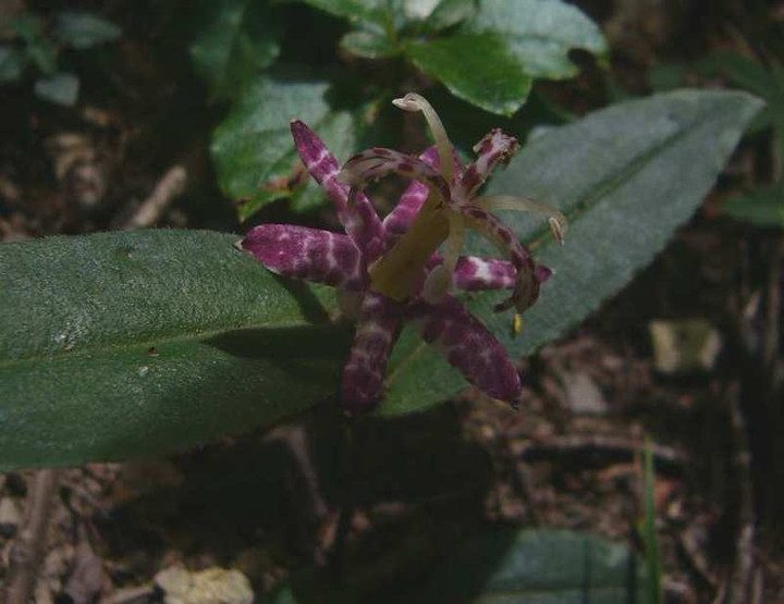 P1140702