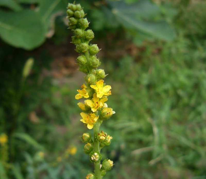 P1140743