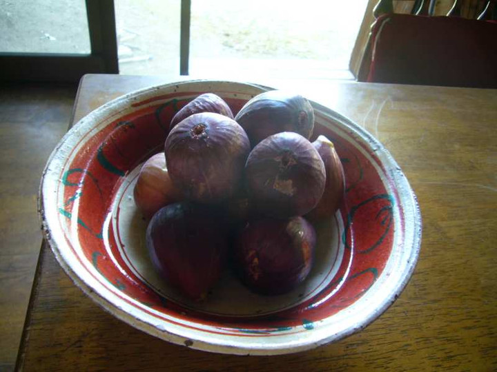P1140811