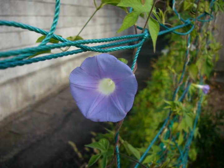 P1140867