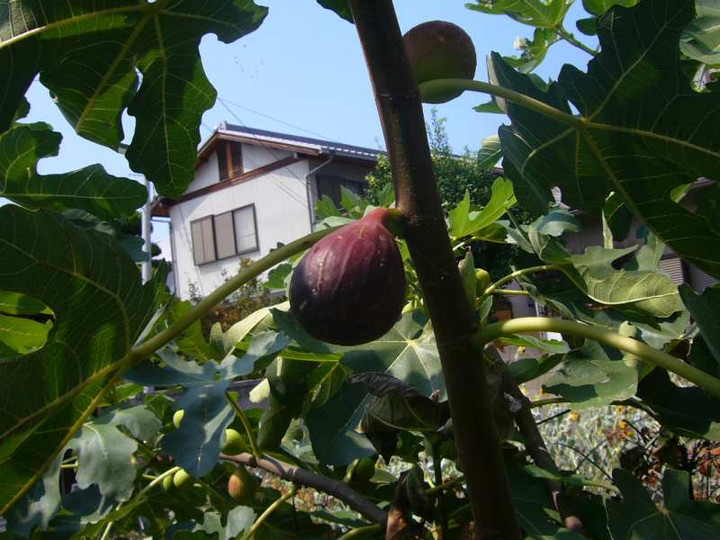 P1140884