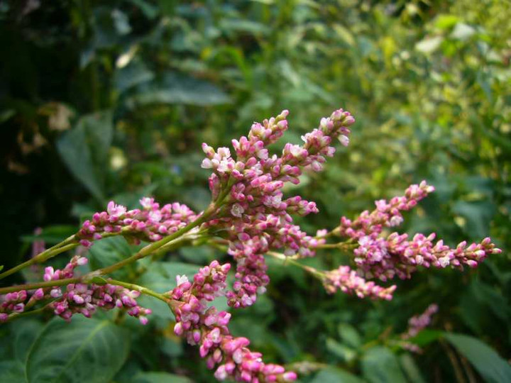 P1140885