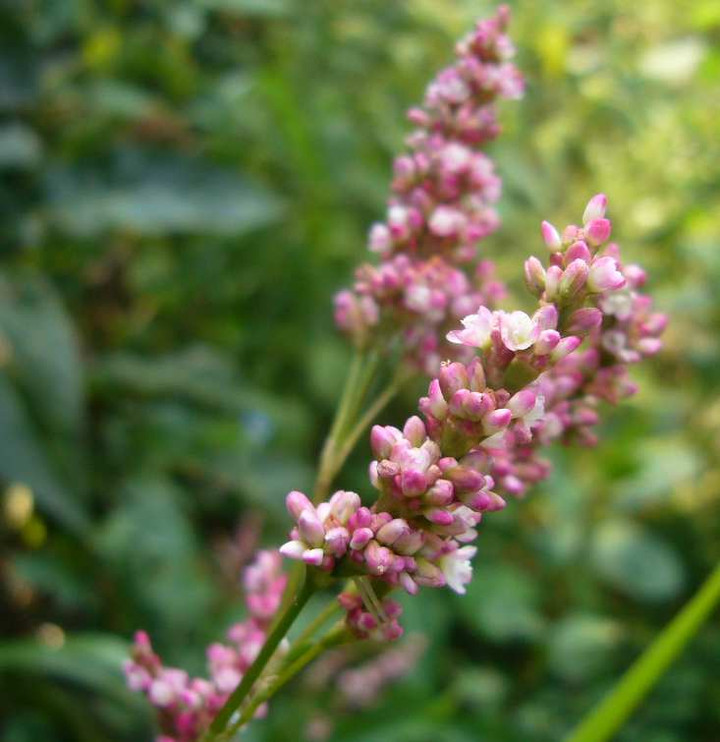 P1140886
