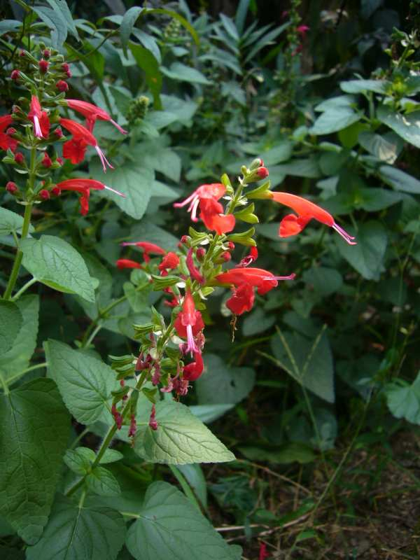 P1140888