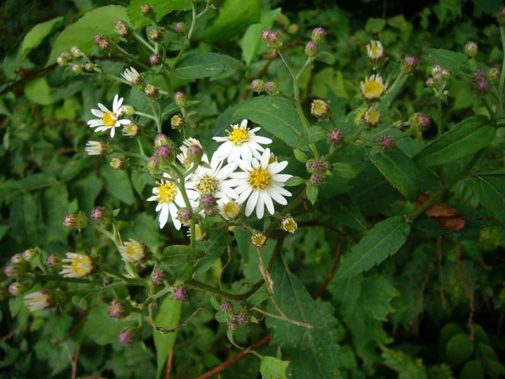 P1140944