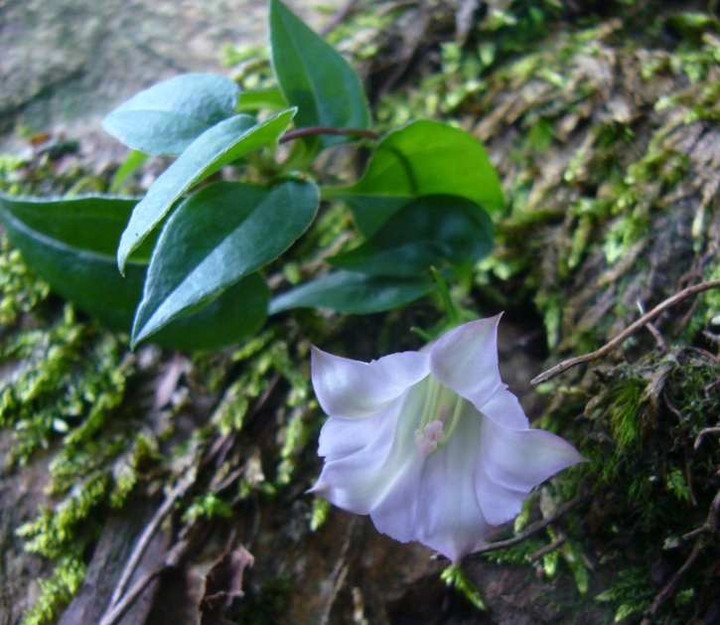 P1140949
