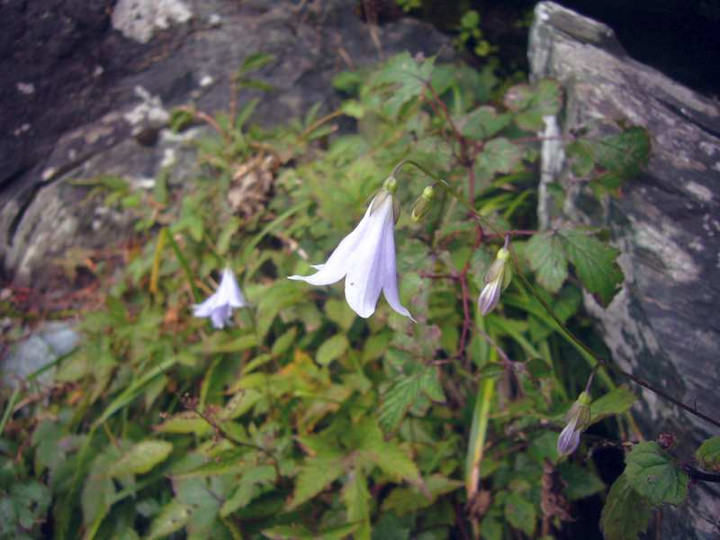 P1150021