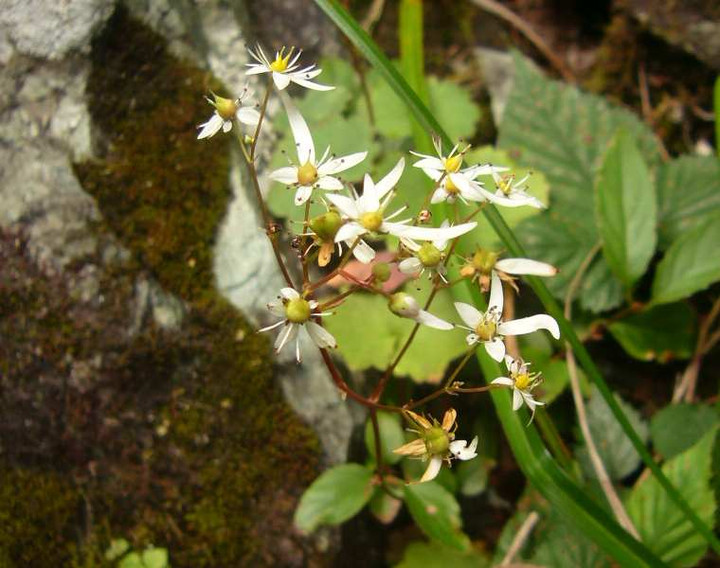 P1150023
