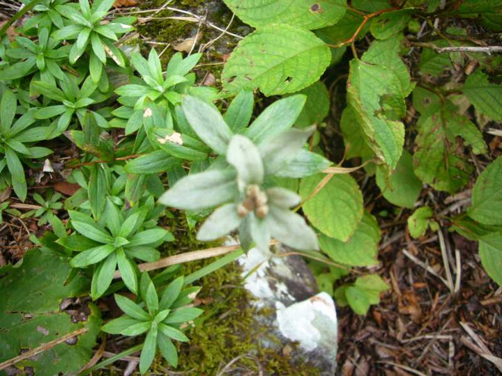 P1150024