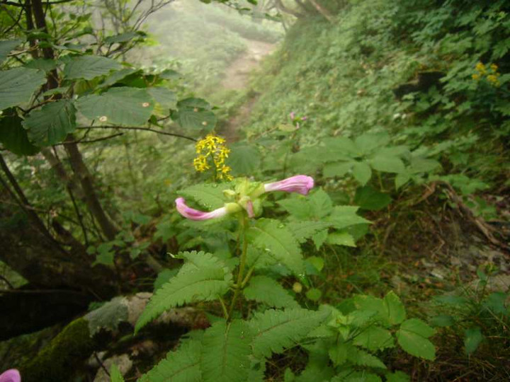 P1150033