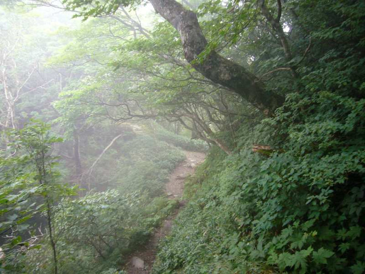 P1150034
