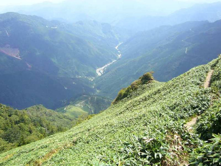 P1150081
