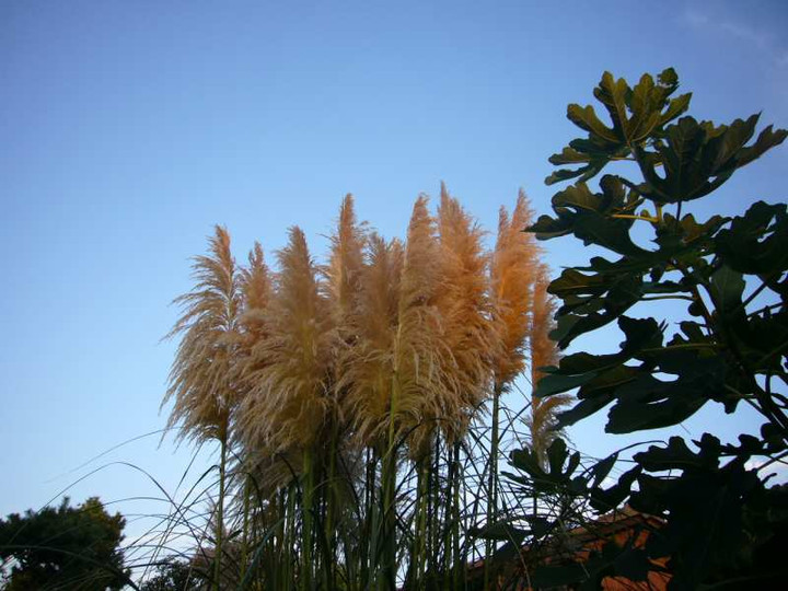 P1140938