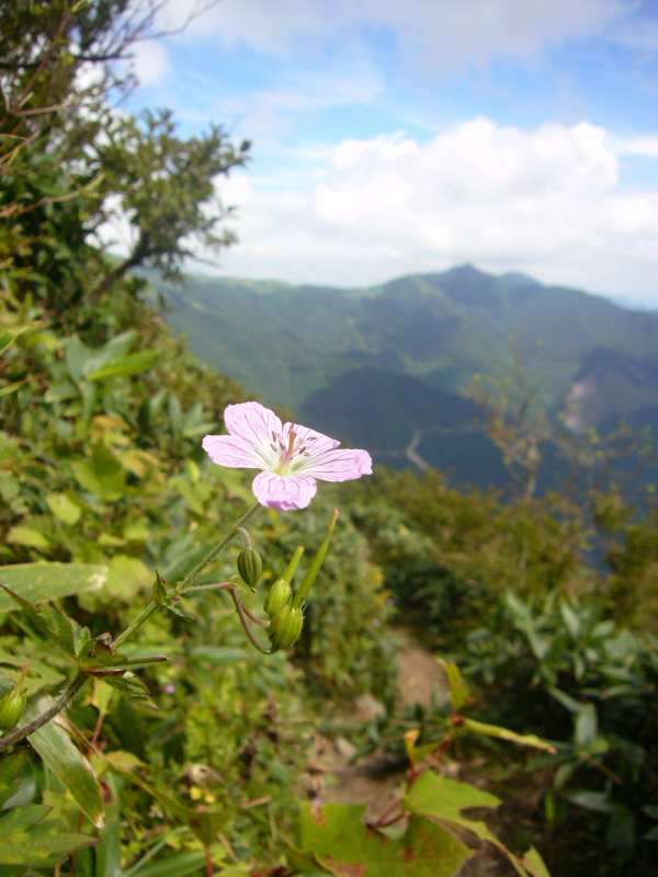 P1150083