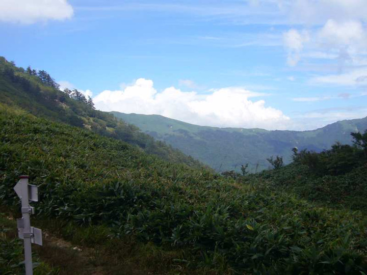 P1150100