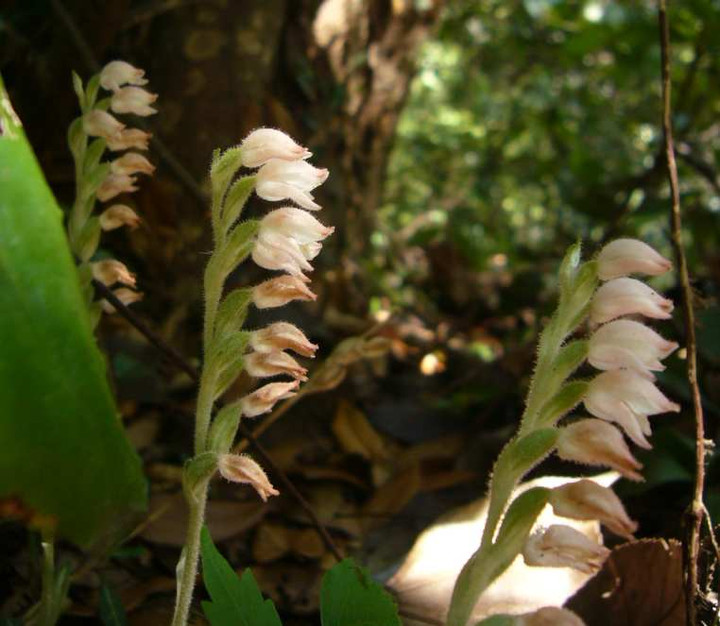 P1150270