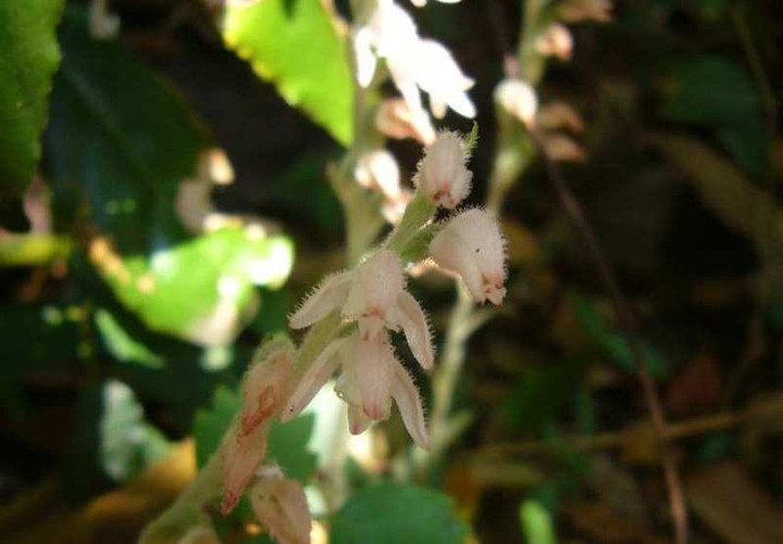 P1150271