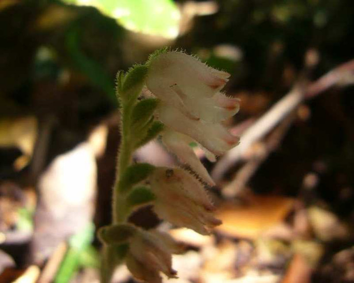P1150272