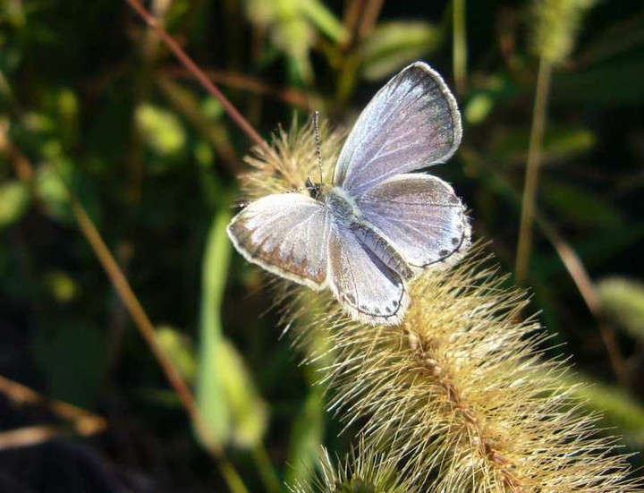 P1150208