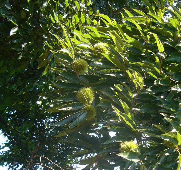P1150230