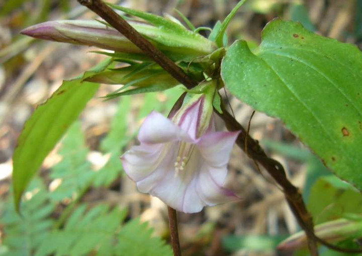 P1150246