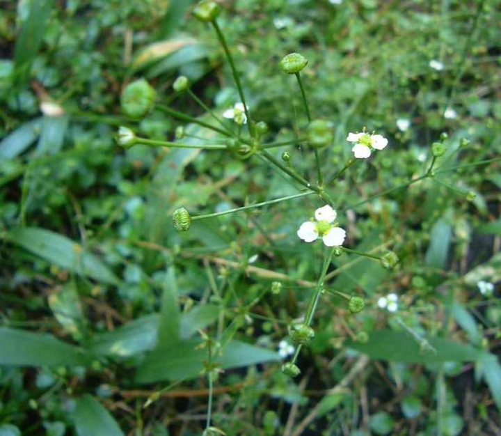 P1150253