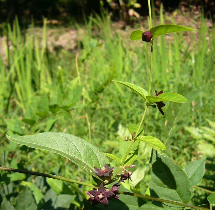 P1150262