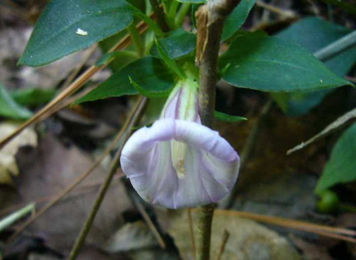 P1150267