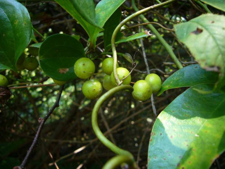 P1150248