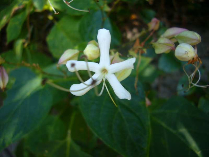 P1150283