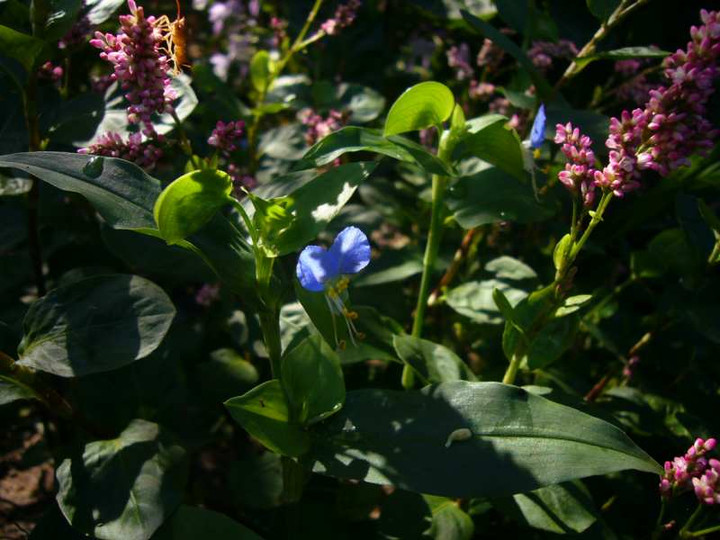 P1150450