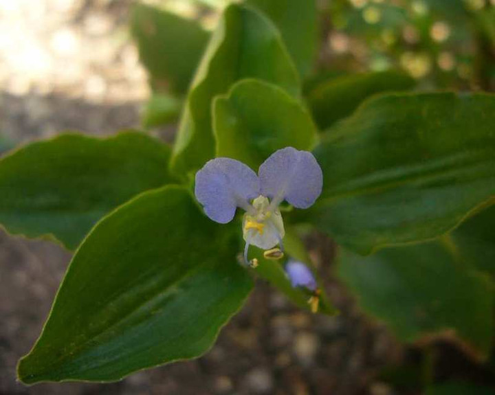 P1150459