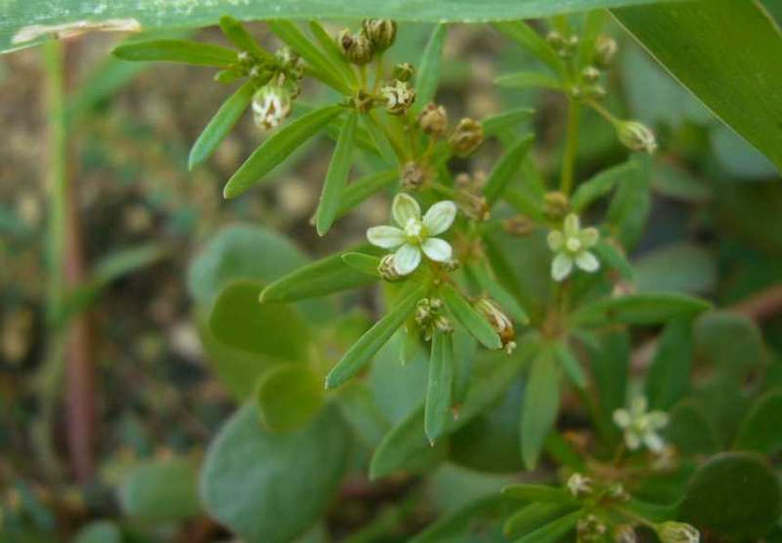 P1150463