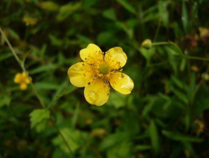 P1150526