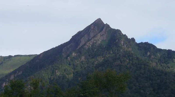 P1150528_2