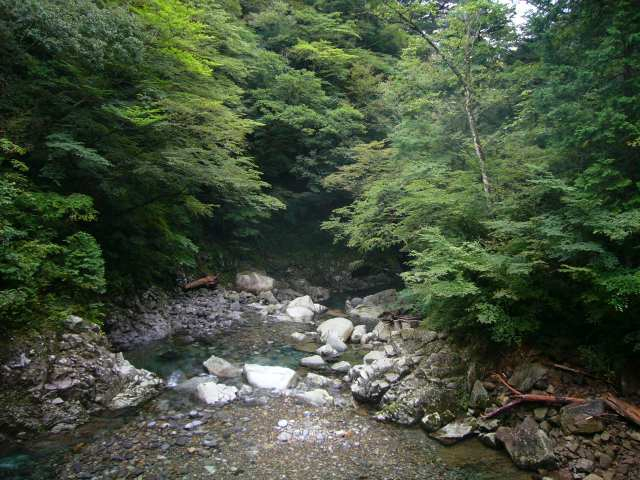 P1150538
