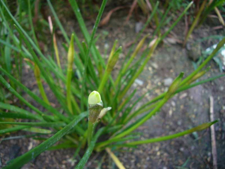 P1150457