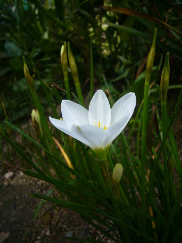 P1150489