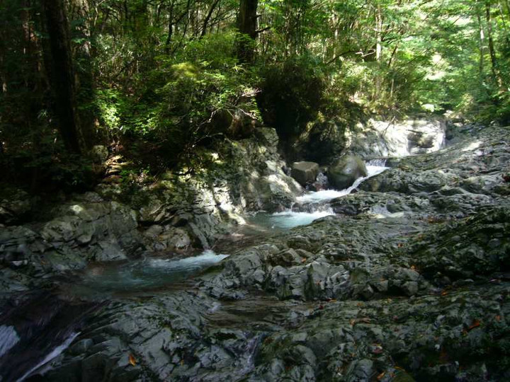 P1150554