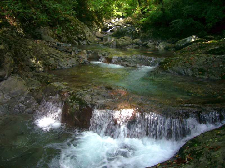 P1150559